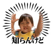 636113321