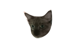 63612336
