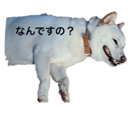 636167176