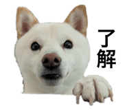 636167179