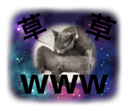 636195944