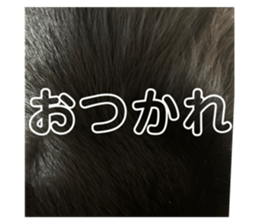 636199311