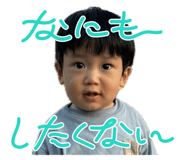 636202384