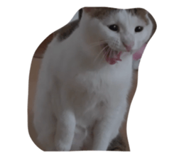 636209032