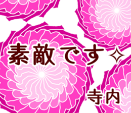 63621646