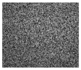 636220365