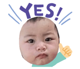 636228876