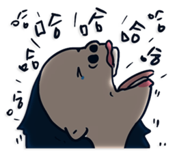 636253844