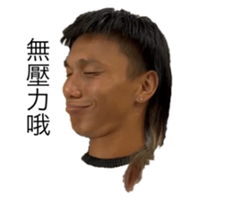 636258135