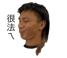 636258136