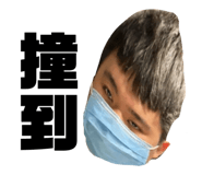 636268482