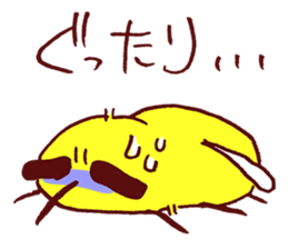 6362724