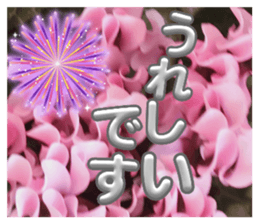 636283824