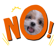 636316996