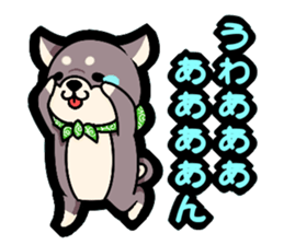 6363287