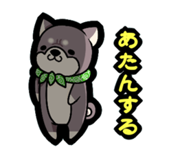 6363300