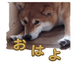 636367486