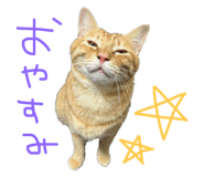636367986