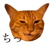 636367987