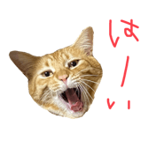 636367989