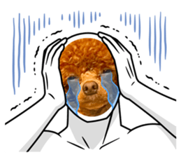 636395254