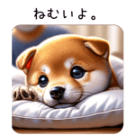 636396559