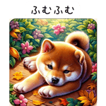 636396564