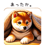 636396567