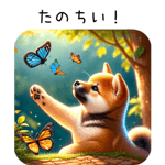 636396577