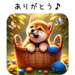 636396578