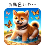 636396580