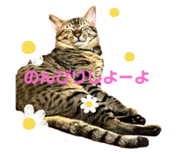 636408340