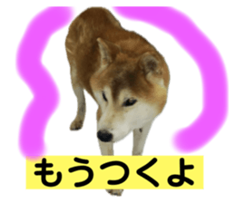 636420937