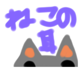 636435231
