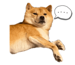 636436355