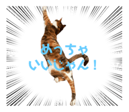 636442743