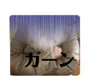636442943
