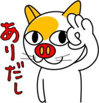 636446