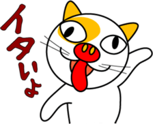 636447