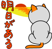 636464