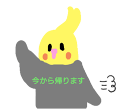 636480620