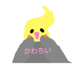 636480637