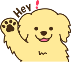 6365214