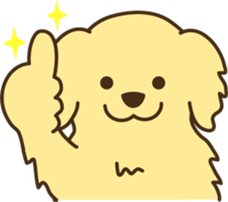 6365229