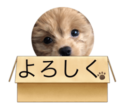 636580787