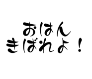 636592955
