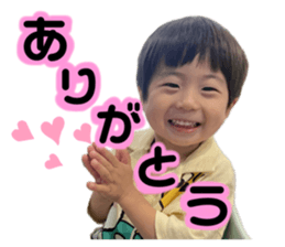 636604381