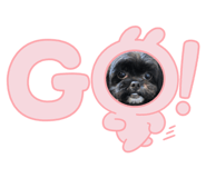 636605690