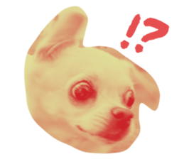 636612831