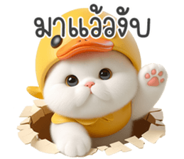 636635320